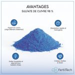 Sulfate de Cuivre 1.5 kg - Traitement Algues & Préparation Bouillie Bordelaise – Image 6