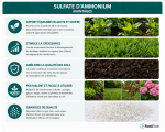 Sulfate d’Ammonium 1.5 kg | Engrais azoté 21 % N + 24 % Soufre pour potager, gazon, arbres fruitiers, haies, sols alcalins, jardin, maraîchage, correction du pH, agriculture – Image 5