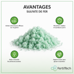 Sulfate de Fer (II) 1.5 kg - Engrais Anti-Carence en Fer pour Plantes, Pelouse, Potager - Clarification Eau, Traitement Bois & Anti-Mousse Écologique – Image 5