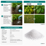Sulfate de Magnésium 750 g (Sel d’Epsom) Engrais Minéral Naturel pour Plantes, Gazon et Potager – Corrige les Carences en Magnésium et Soufre – Favorise la Croissance et un Feuillage Sain – Image 4
